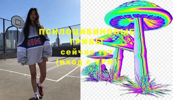 герыч Козловка