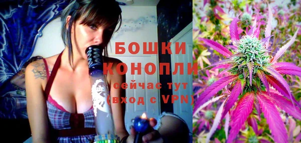 твердый Кодинск