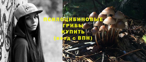 прущая мука Козельск